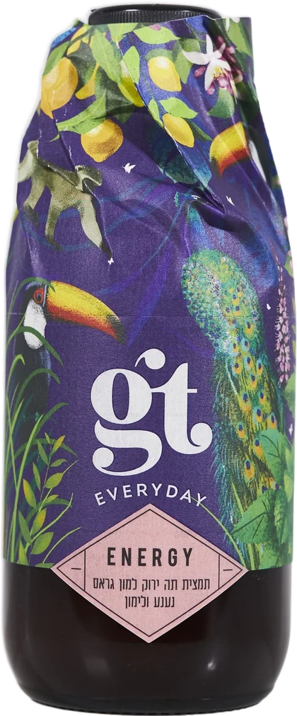GT Energy 250 מ״ל