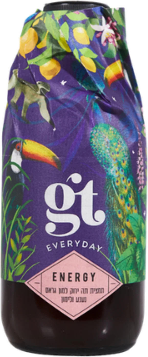 בקבוק תמצית Energy של GT, 500 מ״ל